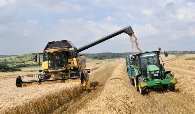 Hububat fiyatları haftayı yükselişle kapattı