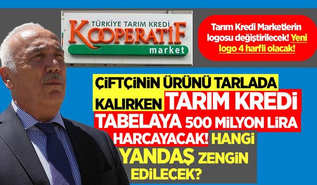 Tarım Kredi Marketler logosunu değiştirecek! 3 harflilere benzememek için yeni logo 4 harfli olacak!