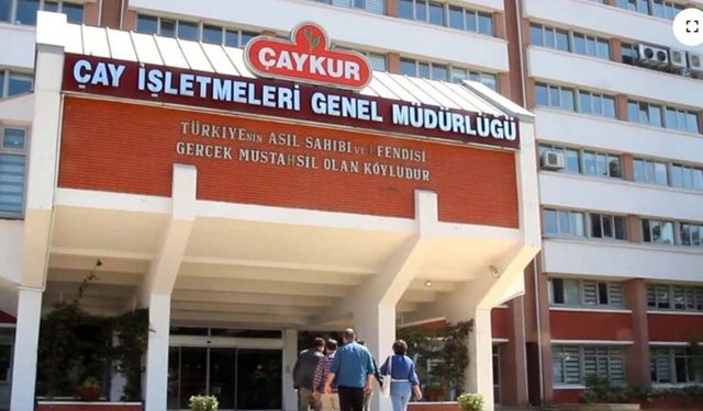 Çaykur işçisinde büyük hayal kırıklığı: Kadro beklerken mevsimlik işçi oldular!