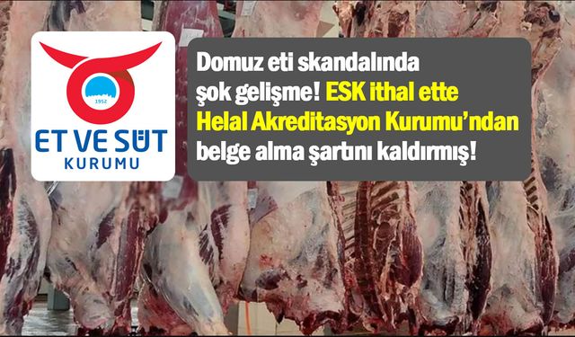 Domuz eti skandalında şok gelişme! ESK ithal ette Helal Akreditasyon Kurumu'ndan belge alma şartını kaldırmış!