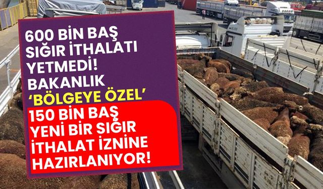 Tarım Bakanlığı'ndan Trakya Bölgesine özel 150 bin baş sığır ithalat izni!