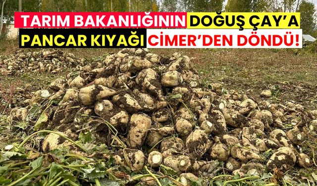 Tarım Bakanlığının Doğuş Çay’a pancar kıyağı CİMER’den döndü!