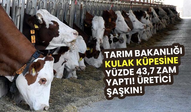 Tarım Bakanlığı kulak küpesine yüzde 43,75 oranında zam yaptı! Üretici şaşkın!