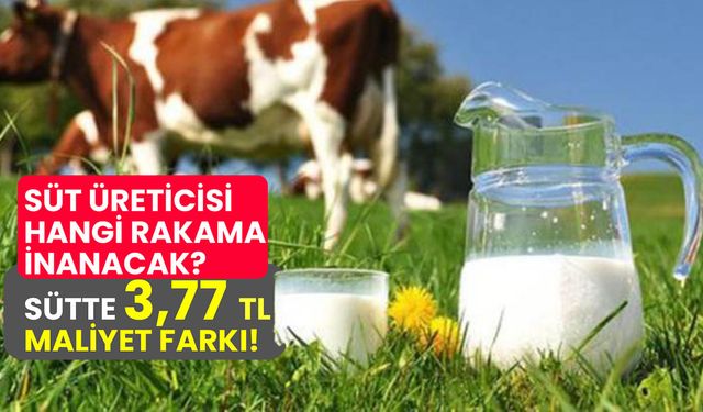 Süt fiyatlarını yakından ilgilendiren maliyetler açıklandı! USK'ya göre 1 litre sütün maliyeti 17 kuruş arttı!
