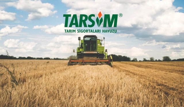 Tarım Bakanlığı bu işe el atmalı! Arpada bürüt ürün gelirinin yüzde 8,7’si TARSİM’e gidiyor!