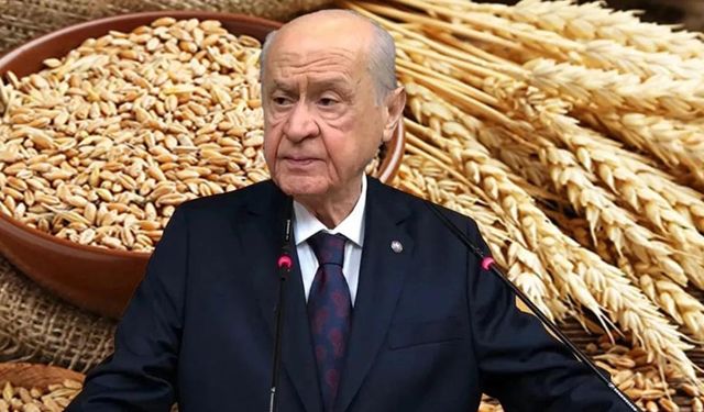 MHP'nin askıda buğday projesi, TMO'nun stoklarındaki buğdaylar için beklenti oluşturdu!