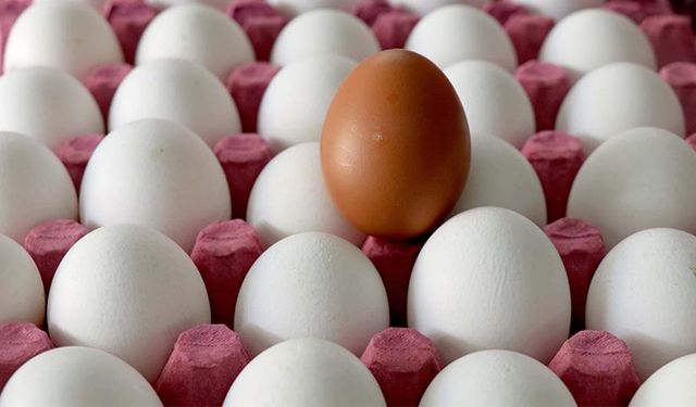 Amerika’da yumurta fiyatları durdurulamıyor!