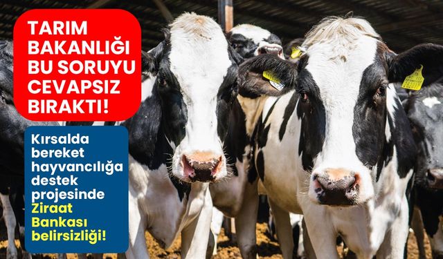 Kırsalda bereket hayvancılığa destek projesinde Ziraat Bankası belirsizliği!