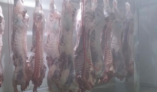 Et fiyatı yerinde sayıyor, kesim düşüyor: Bursa’da kesim 5 hayvanla sınırlandı
