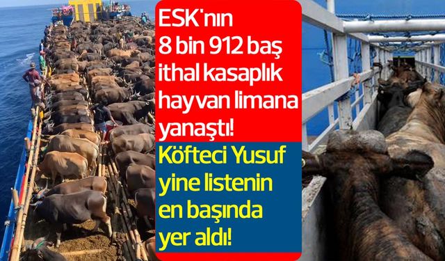 ESK'nın 8 bin 912 baş ithal kasaplık hayvan limana yanaştı! Köfteci Yusuf yine listenin en başında yer aldı!