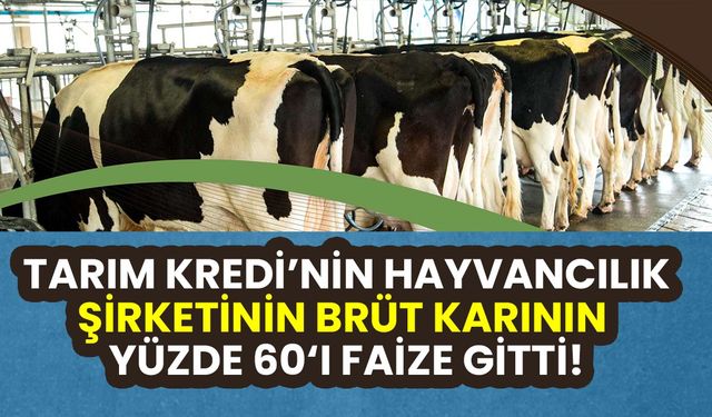 Tarım Kredi Hayvancılık şirketi 2024 yılında 237 milyon lira kar açıkladı!