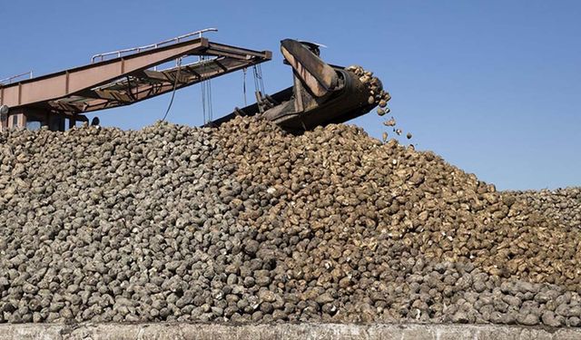 Konya’da pancar vurgununun boyutu ortaya çıktı: Çiftçi Türkşeker’i göreve çağırdı!