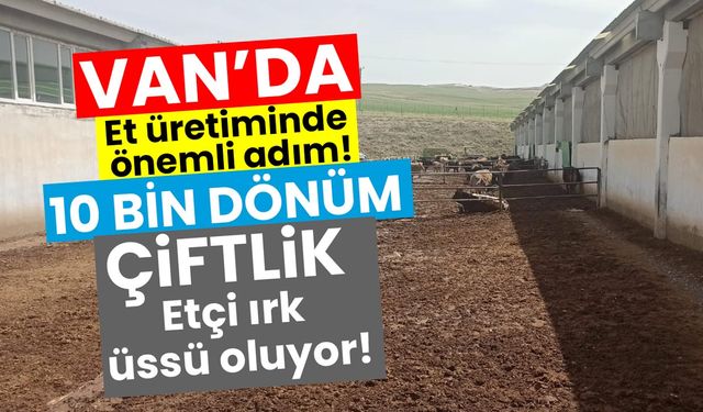 Van’da et üretiminde önemli adım: 10 bin dönüm çiftlik etçi ırk üssü oluyor!