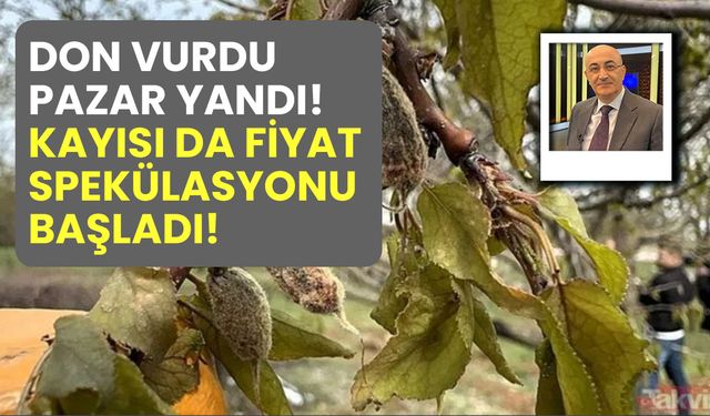 Don vurdu pazar yandı: Kayısı da fiyat spekülasyonu başladı!
