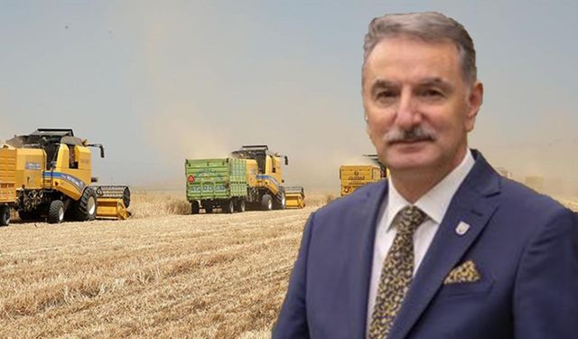 Buğdayda gözler TMO'da: 2025 alım fiyatı 12,5 TL mi olacak?