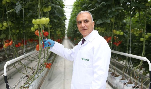 Alarko Tarım’dan Afyonkarahisar’a dev yatırım: Türkiye’nin en büyük çatı altı serası açıldı