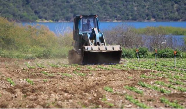 Bursa'da tarım krizi: DSİ ile çiftçi karşı karşıya geldi