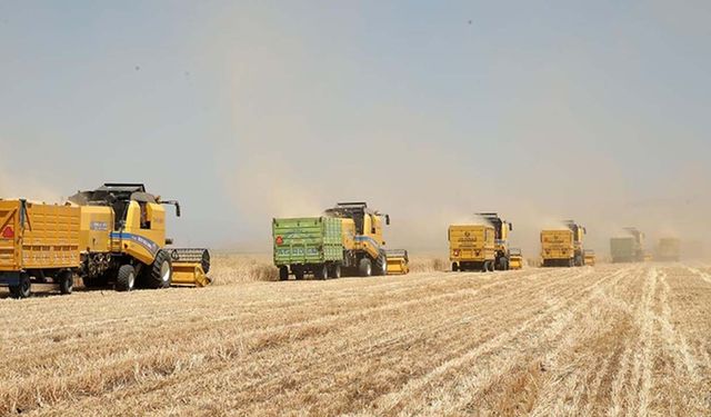 TMO 2025 hububat alım fiyatlarını açıkladı: buğdayda 13.500 TL, arpada 11.000 TL