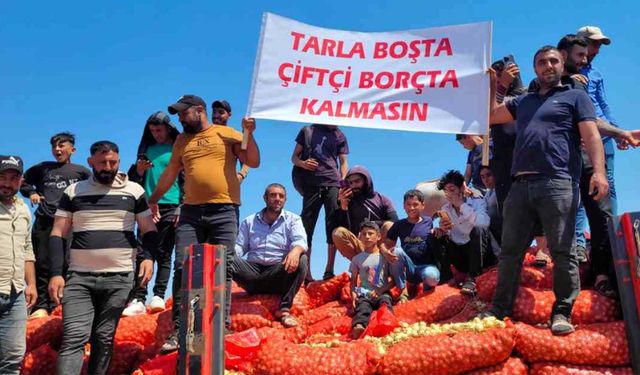Çiftçiler soğanları yola döktü: Üreten değil, ithal eden kazanıyor!