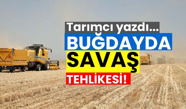 Hindistan ve Pakistan savaşının, buğdaya, pirince, pamuğa kısaca tarıma etkisi neler olabilir?