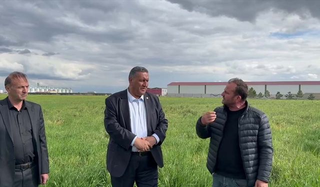 Hububat alım fiyatının açıklanması öncesi çiftçiden TMO’ya çağrı: “İthalatı değil, yerli üreticiyi destekleyin”