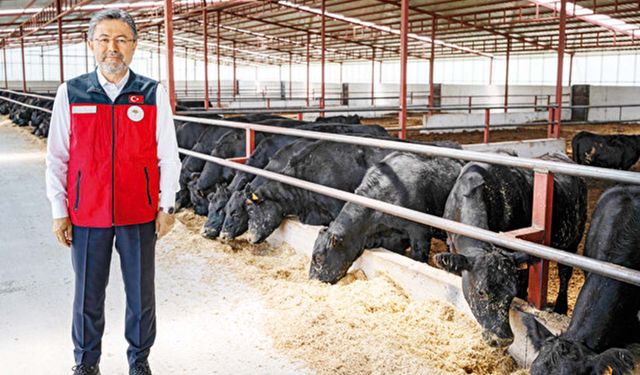 Bakan Yumaklı açıkladı: Hayvan başına 18 bin TL destek, her ay asgari ücret kadar gelir