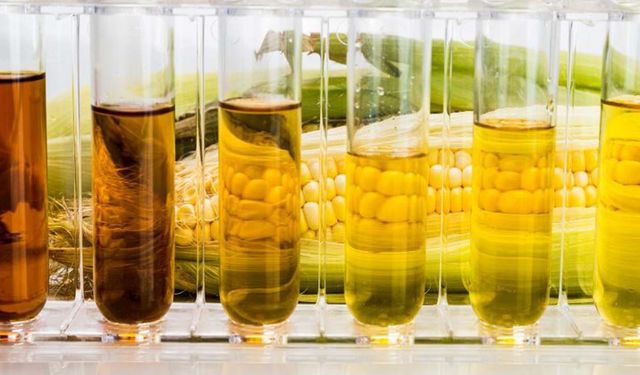 Früktoz şurubuna helal damgası: Sağlık riski taşıyan ürüne 'helal belgesi' nasıl veriliyor?