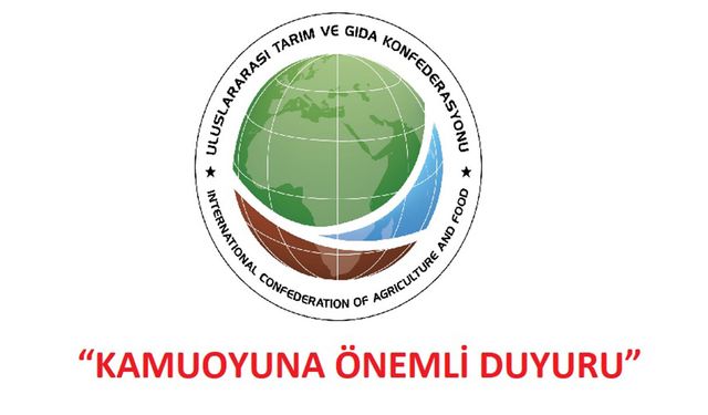 Güncel