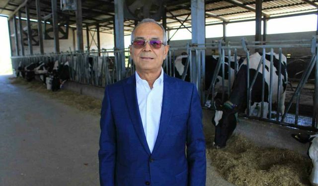 Hayvancılık
