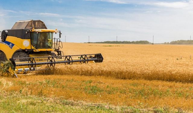 Arpa ve makarnalık buğday fiyatı geriledi