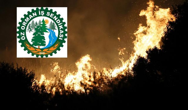 Alevler büyüyor, eller yetmiyor: Orman yangınlarında işçi alarmı