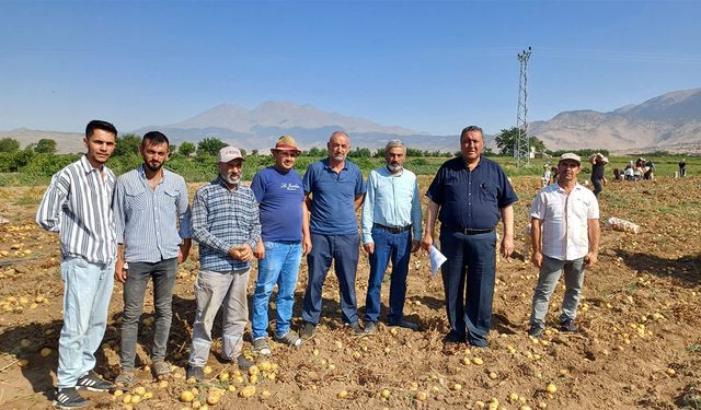 Patates üreticisi isyanda, ürün tarladan sofraya değil çöpe gidiyor!