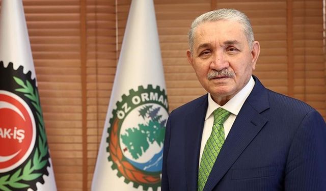 Yangını onlar söndürüyor ama geçim derdiyle onlar yanıyor: Orman işçileri insanca yaşam bekliyor