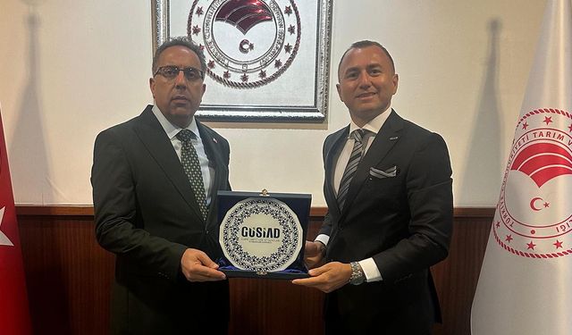 Güncel