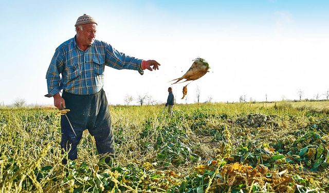 Konya Şeker'de patlayan pancar skandalı rafa kaldırıldı!