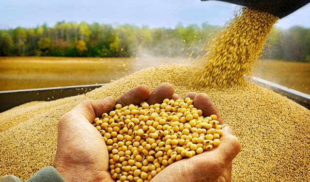Soya üreticisine çifte destek geliyor: Yeni destekleme tebliği Resmi Gazete’de yayımlandı
