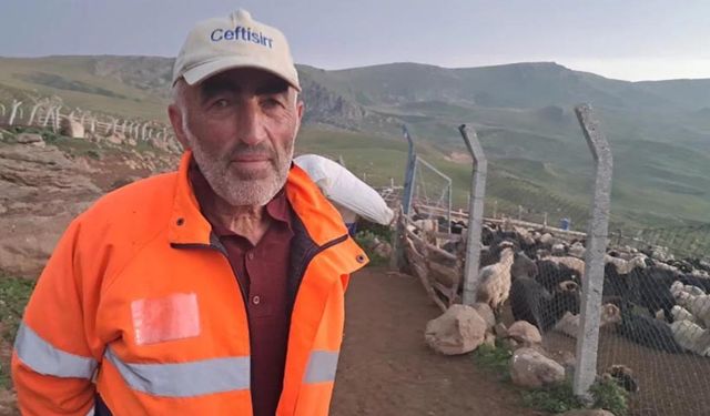 Artvin’de hayvancılık alarm veriyor: Her gün bir kuzum ölüyor