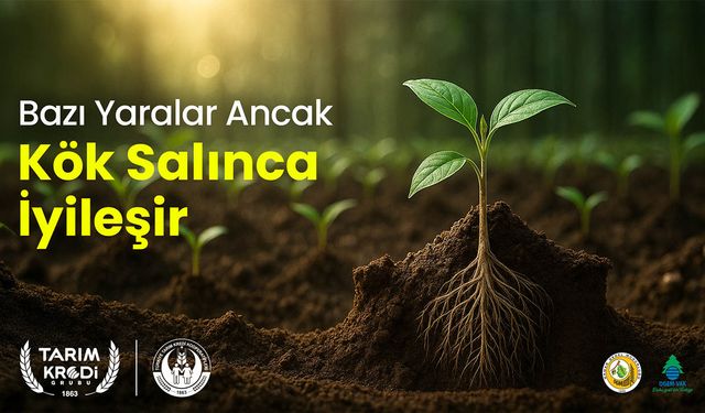 Tarım Kredi’den anlamlı kampanya: 62 bin fidan bağışıyla geleceğe nefes