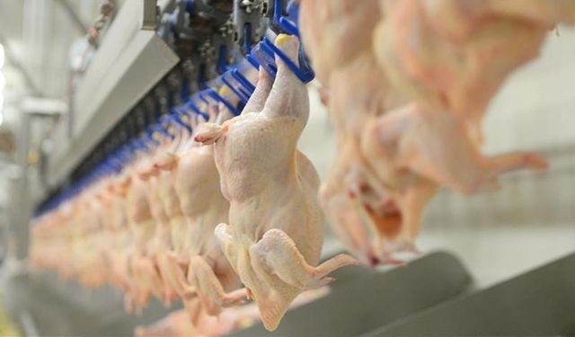 Suriye’den tarım ve kümes hayvancılığına ithalat yasağı