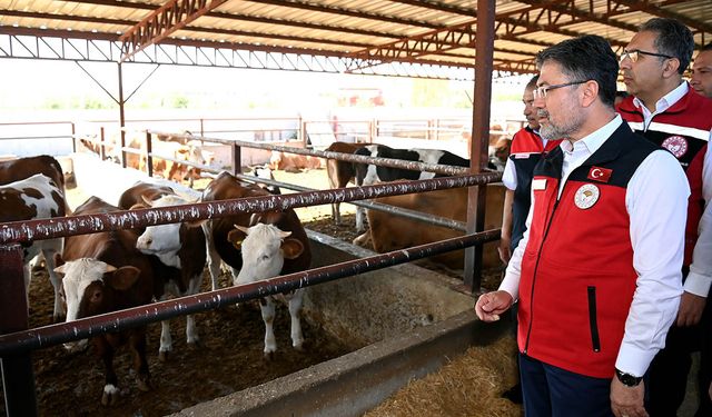 Güçlü besi projesi mi, güçlü ticaret planı mı?