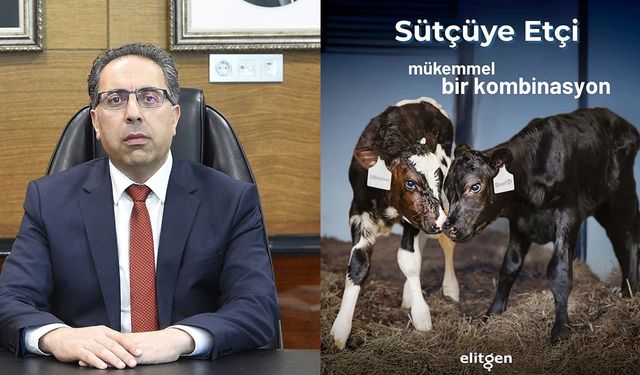 Bakan Yardımcısının eski şirketinden hızlı hamle: Sütçüye Etçi Mükemmel bir Kombinasyon!