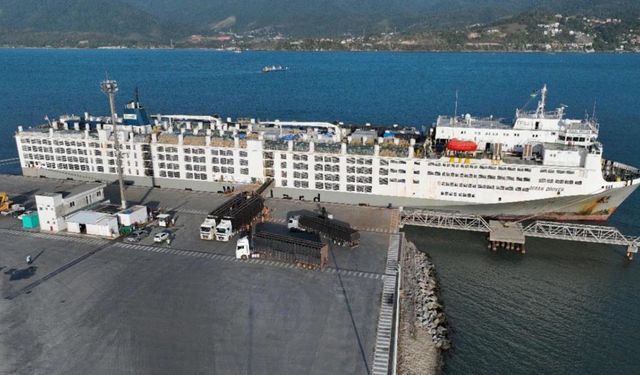 Avustralya'dan gizemli düve ithalatı: TİGEM'in ithalatçısını gizlemek için ESK ihracatçı firma gösterildi!