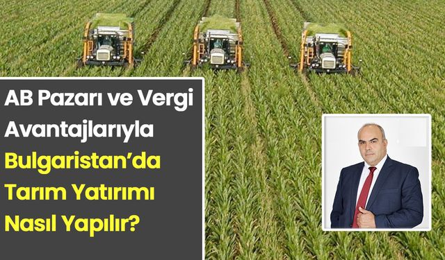 Bulgaristan’da tarımsal yatırım ve oturum: Türkiye’den gelenler için uzman rehberi