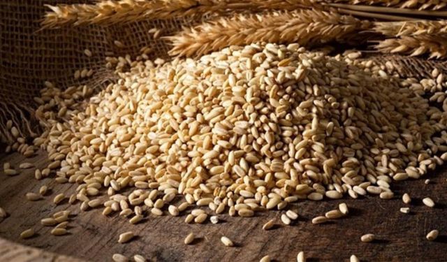 Tarımsal ürün piyasalarında son durum: Buğday ve arpa yükselişte