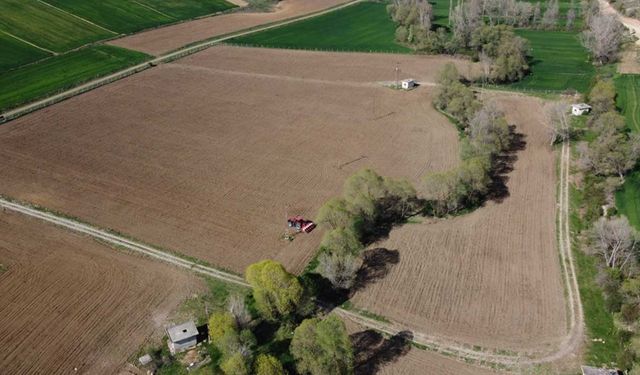 Çorum’da kiraya verilecek tarım arazileri askıya çıktı: Ortalama parsel büyüklüğü 10,6 dönüm