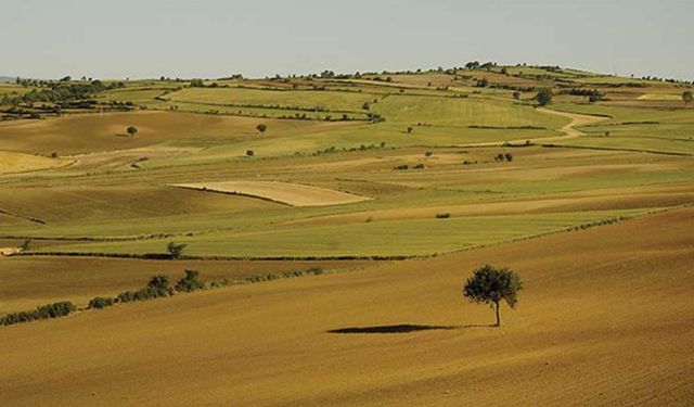 Afyonkarahisar’da işlenmeyen 1287 dönüm tarım arazisi tespit edildi