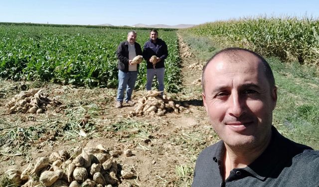 Ilgın’da pancar mesaisi başladı: Şekerin kaderi yine çiftçinin alın terinde