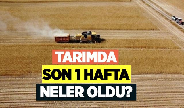Tarımda geçen hafta (21-28 Eylül 2025) neler oldu?