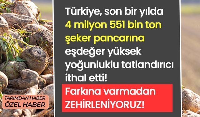 Yüksek yoğunluklu tatlandırıcılarla zehirleniyoruz! Şeker pancarı üretimine büyük darbe