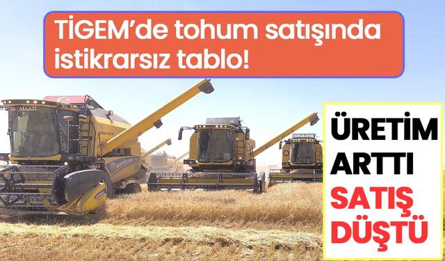 TİGEM’de tohum satışında istikrarsız tablo: Üretim arttı, satış düştü